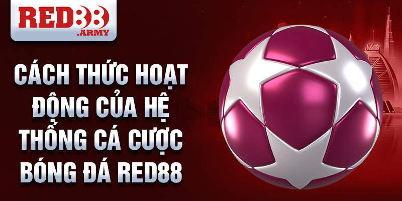 Cách thức hoạt động của hệ thống cá cược bóng đá red88